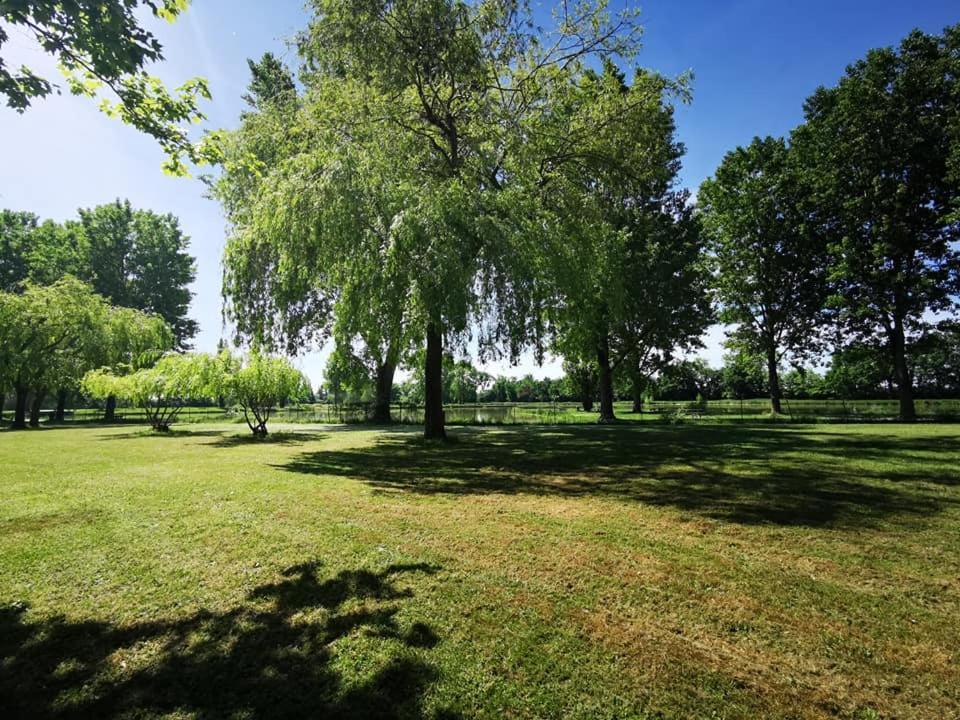 Ambérieux-en-Dombes L'Oasis Des Dombes酒店 外观 照片