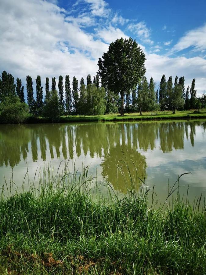 Ambérieux-en-Dombes L'Oasis Des Dombes酒店 外观 照片